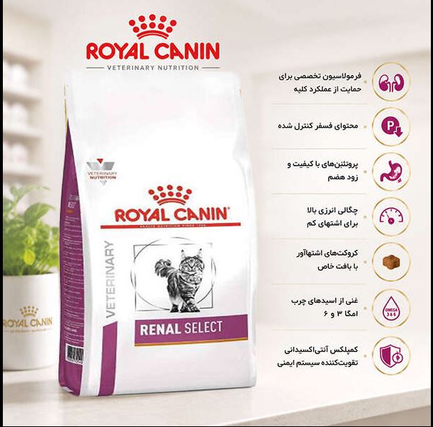 رنال سلکت اصل