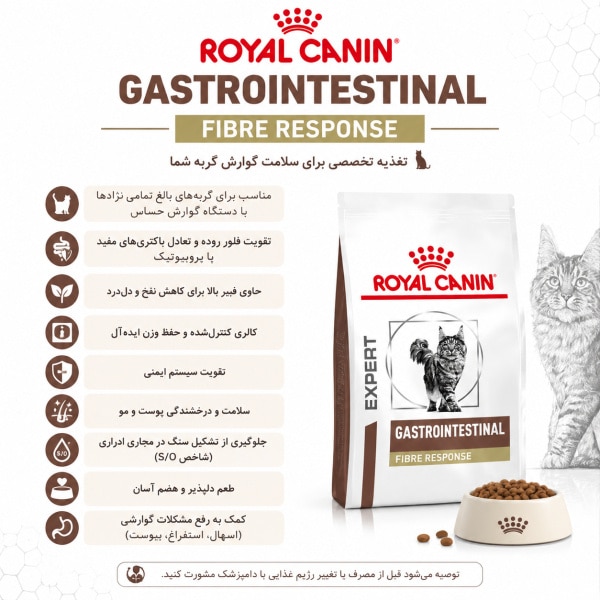 gastro