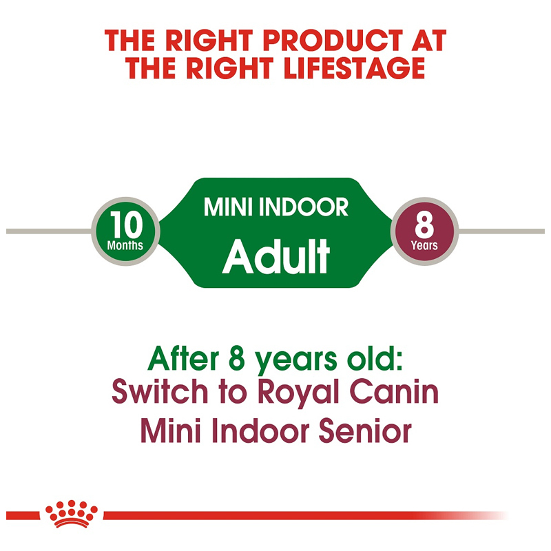 miniindoor adult